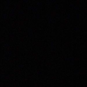 Meet your Posher, Bailey